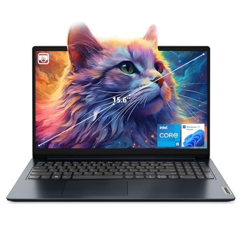 聯想IdeaPad 1i筆記型電腦。 15.6 FHD觸控式螢幕。 英特爾酷睿i5-1235U處理器。 16GB記憶體。512GB固態硬碟。 網絡監視器。 高清多媒體介面(High Definition Multimedia Interface) Wi-Fi 6。 Windows 11主頁。 藍色